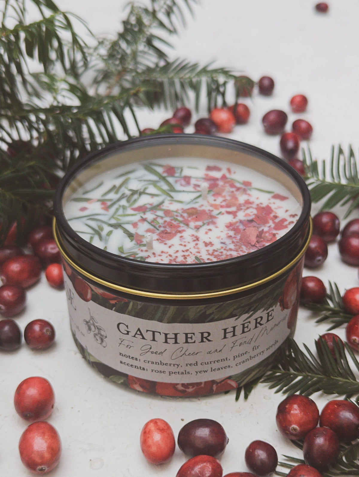 GATHER HERE Cranberry Pine Candle - Image 7 - Ash & Rose Candle