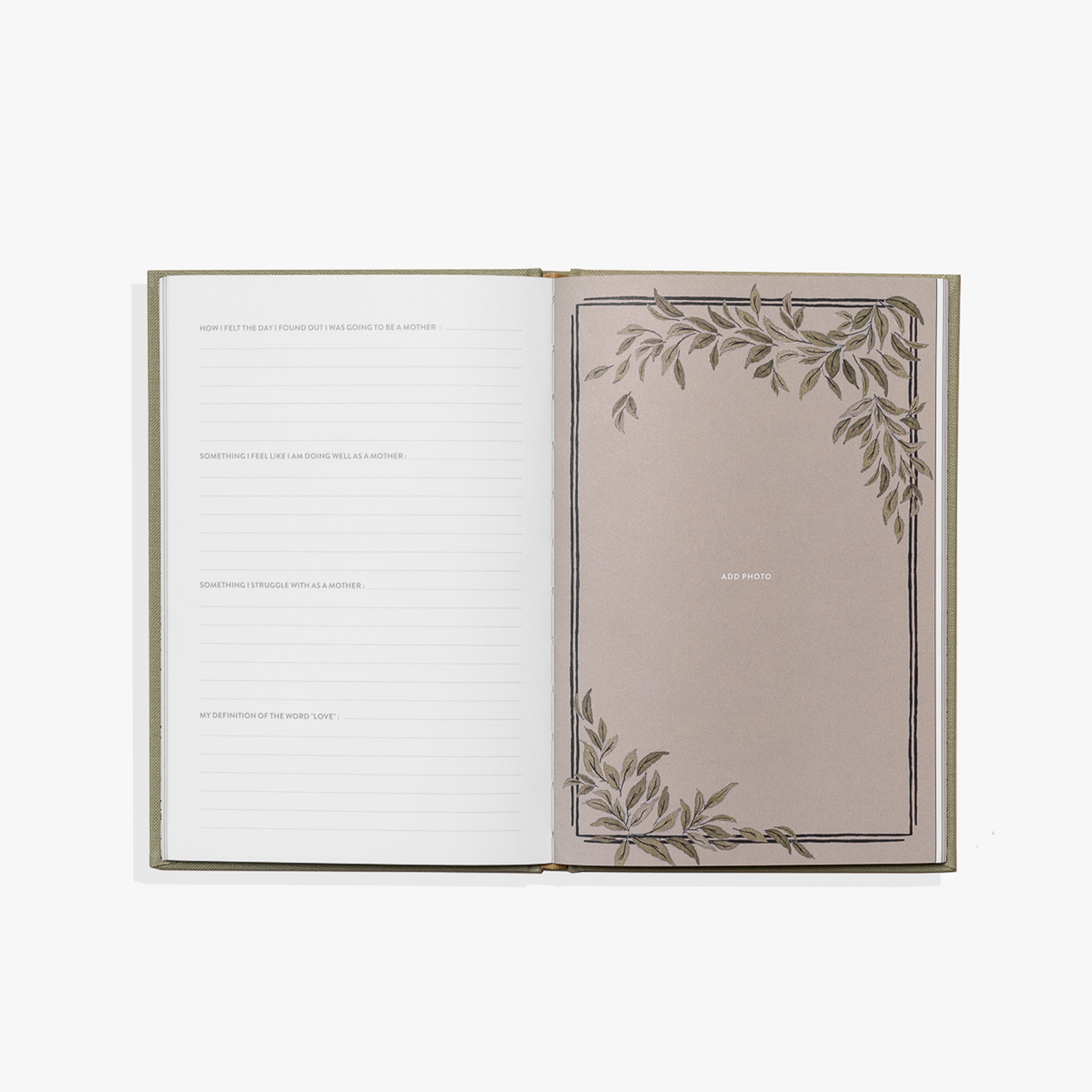 Open book with decorative leaves on a white background